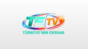 TE TV Logo